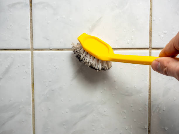 Best Mold Remediation  in Bruce, MS
